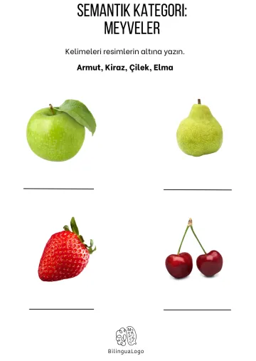 MEYVELER (KELİME-RESİM EŞLEŞTİRME)