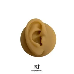 SİLİKON KULAK MAKET