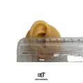 SİLİKON KULAK MAKET – görsel 2 – görsel 2