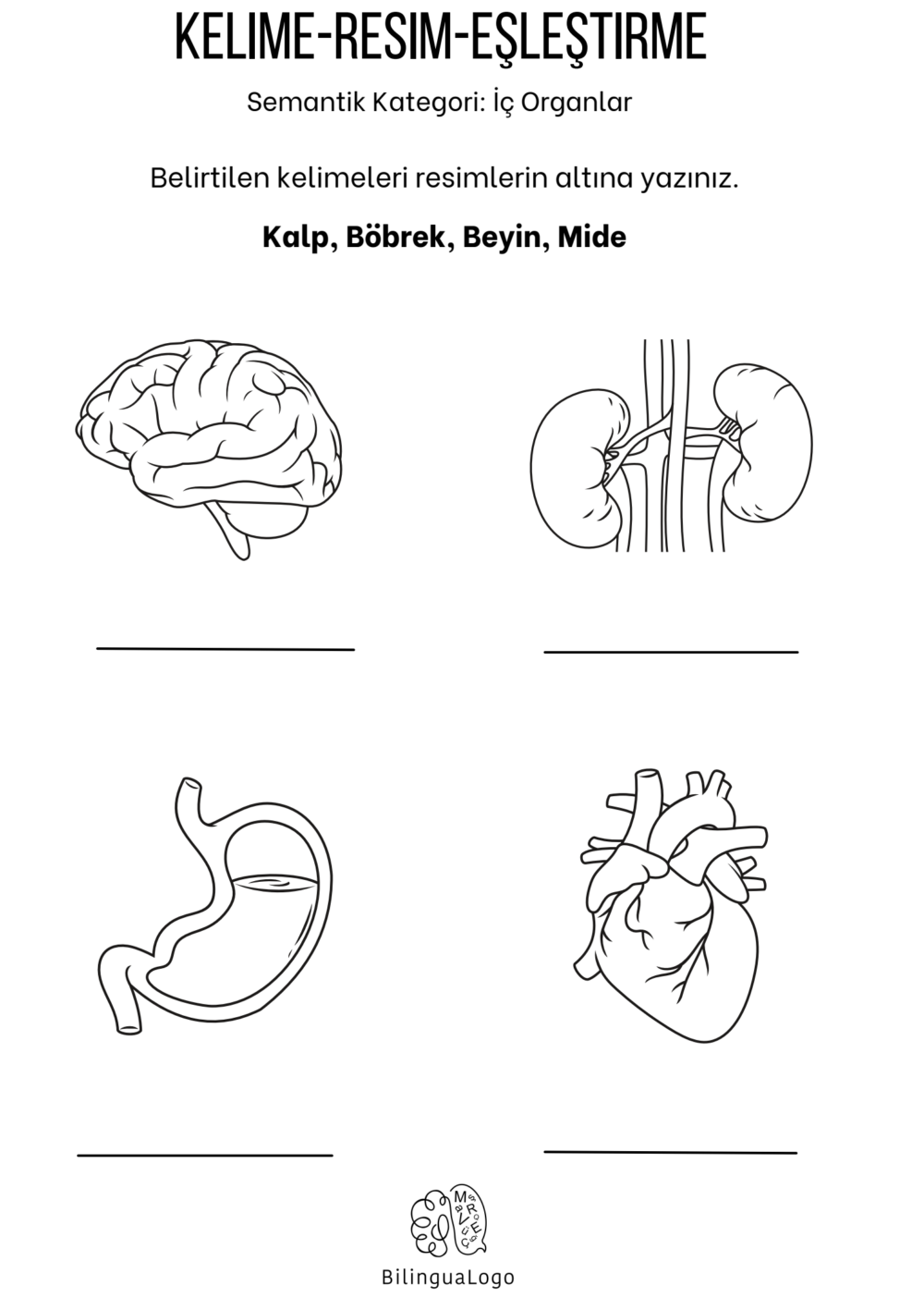İÇ ORGANLAR (KELİME - RESİM EŞLEŞTİRME)