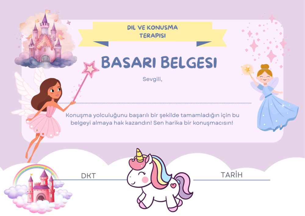 PERİ BAŞARI BELGESİ