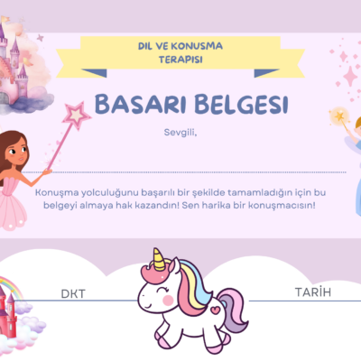 PERİ BAŞARI BELGESİ